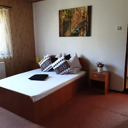 Guest house Raiul Carpatin