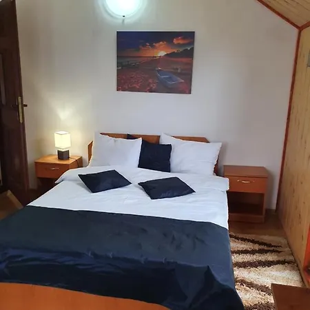 Guest house Raiul Carpatin *