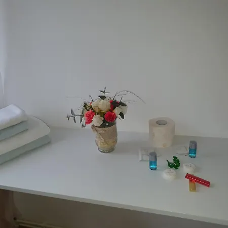 Guest house Raiul Carpatin